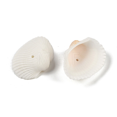 Natural Shell Beads SHEL-K009-15-1