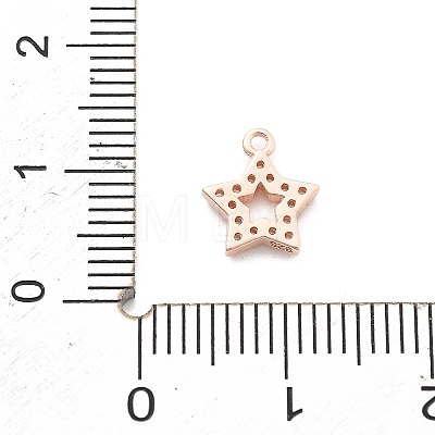 925 Sterling Silver Micro Pave Clear Cubic Zirconia Charms LS-STER-A034-02C-RG-1