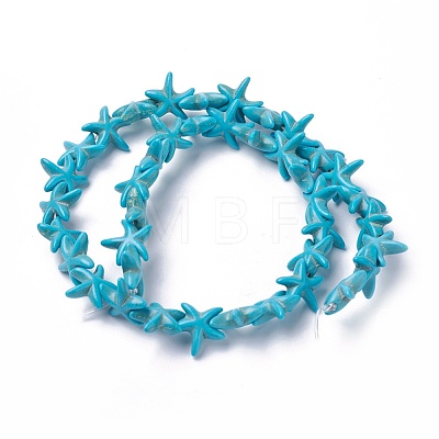 Synthetic Turquoise Beads Strands TURQ-L029-03C-1