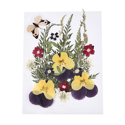 Pressed Dried Flowers DIY-YWC0001-96-1