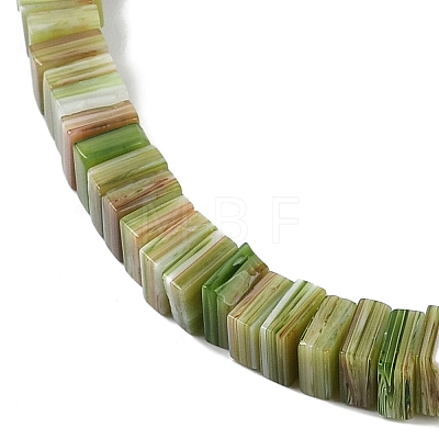 Handmade Lampwork Beads Strands LAMP-Q037-02B-15-1
