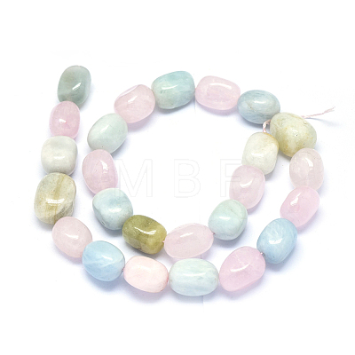 Natural Morganite Beads Strands G-O173-090-1