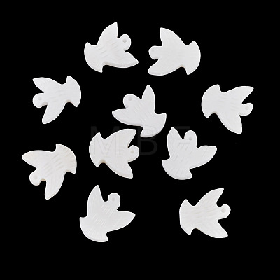 10Pcs Natural Freshwater Shell Beads BSHE-TA0001-31-1