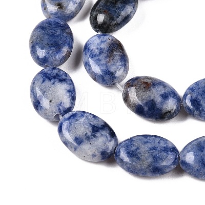 Natural Blue Spot Jasper Beads Strands G-M206-40-1