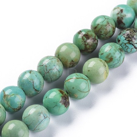 Natural Magnesite Beads Strands TURQ-F017-02-8mm-1