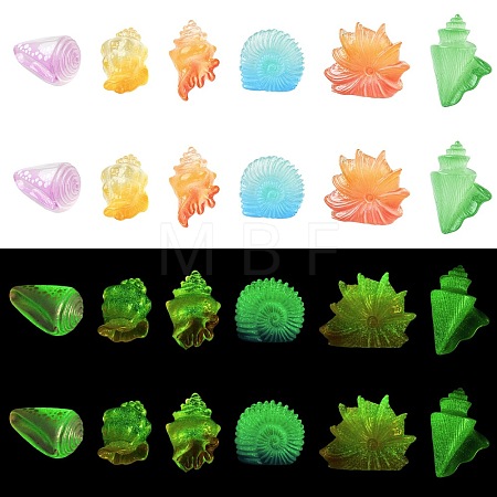 30Pcs 6 Styles Luminous Resin Conch Display Decorations DJEW-CJ0001-37-1
