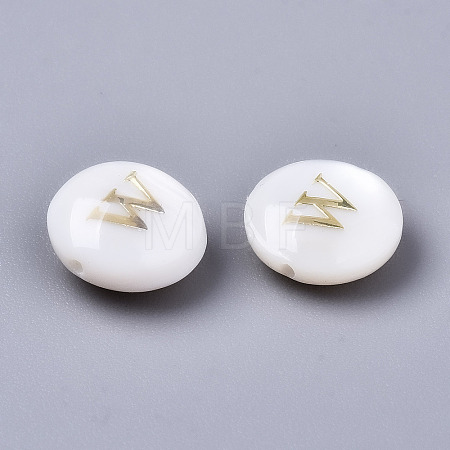 Natural Freshwater Shell Beads SHEL-S266-12W-1