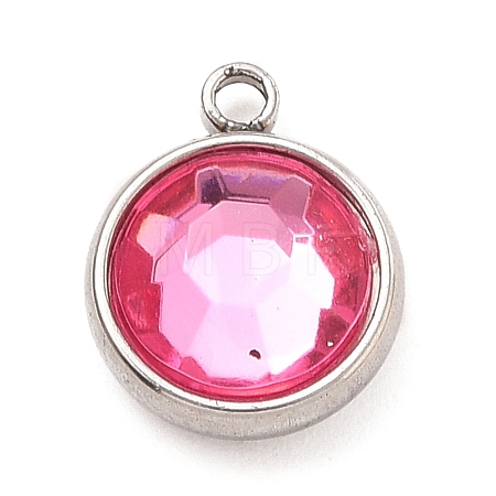 304 Stainless Steel Charms LS-STAS-I165-04A-P-01-1