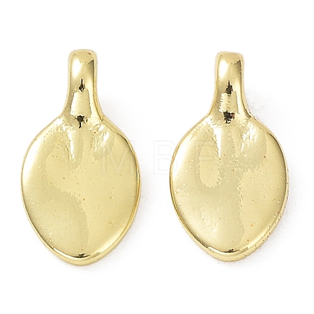 Rack Plating Brass Charms KK-B076-16G-1