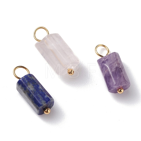 Natural Gemstone Pendants PALLOY-JF01226-1