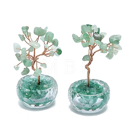 Natural Green Aventurine Chip Pachira Glabra Display Decorations DJEW-K025-04B-1