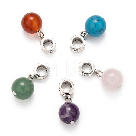Large Hole Alloy European Dangle Charms PALLOY-JF00044-1