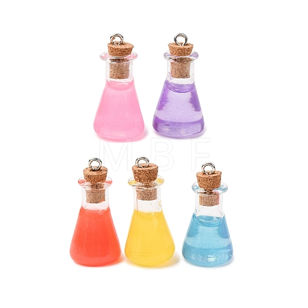 Transparent Resin Pendants RESI-K048-04-1