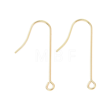 316 Surgical Stainless Steel Earring Hooks LS-X-STAS-E027-02B-G-1