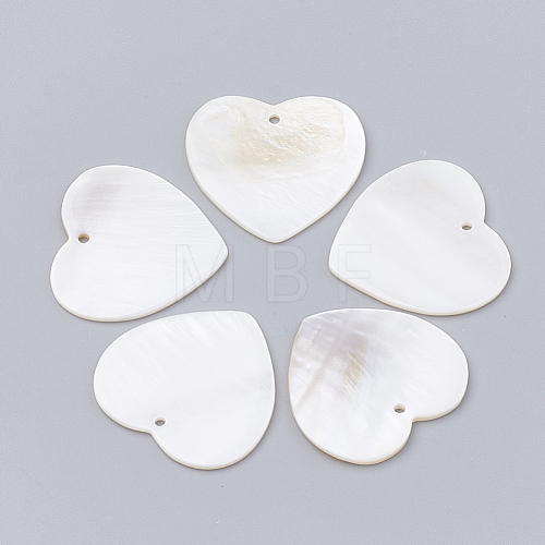 Freshwater Shell Pendants SHEL-S269-76-1