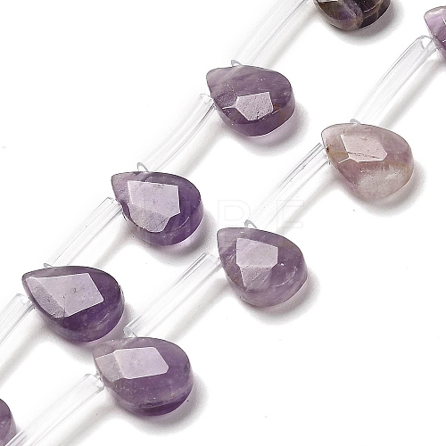 Natural Amethyst Beads Strands G-Q167-A04-01-1