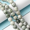 Natural Peace Jade Beads Strands G-E598-04A-4