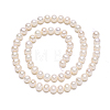 Natural Cultured Freshwater Pearl Beads Strands X-PEAR-S001-6-7mm-3-3