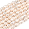 Natural Cultured Freshwater Pearl Beads Strands PEAR-F020-24A-2