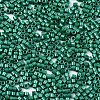 11/0 Grade A Baking Paint Glass Seed Beads SEED-S030-1039-2