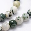 Natural Tree Agate Beads Strands G-I199-03-10mm-4