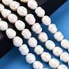 Natural Cultured Freshwater Pearl Beads Strands PEAR-N012-08G-6