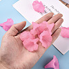 Transparent Acrylic Beads BSF796-C10-7
