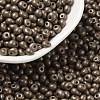 6/0 Glass Seed Beads SEED-L011-08A-09-1