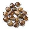 Natural Picture Jasper Beads Strands G-C150-A26-01-4