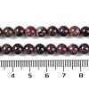 Natural Plum Blossom Tourmaline Beads Strands G-K364-B01-01-5