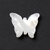 Natural White Shell Beads BSHE-G031-04-3