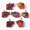 Natural Agate Pendants G-R459-003B-2