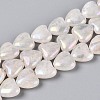 Electroplate Natural Quartz Crystal Beads Strands G-T144-40-4