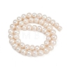 Natural Cultured Freshwater Pearl Beads Strands PEAR-I007-07J-03A-3