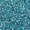 Glass Seed Beads X1-SEED-S042-04A-13-3
