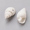 Spiral Shell Beads BSHE-L037-03-2