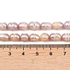 Natural Cultured Freshwater Pearl Beads Strands PEAR-F020-20B-5