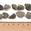 Natural Labradorite Beads Strands GG-CBA0B77-A20-03-4