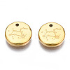 316 Surgical Stainless Steel Charms STAS-S116-418H-G-2