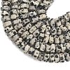 Natural Dalmatian Jasper Beads Strands G-L654-I01-01-4