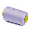Polyester Machine Embroidery Threads FB-CBA3CB0-01C-2