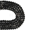 Natural Silver Obsidian Beads Strands G-C280-B08-10mm-5