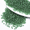 Glass Seed Beads X-SEED-S042-04A-01-1