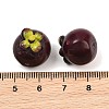 Fruit Series Opaque Resin Beads RE-CBAC4C7-11C-3