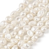 Electroplated Shell Pearl Beads Strands BSHE-M036-02B-1