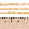 Natural Yellow Shell Beads Strands BSHE-G036-09B-4
