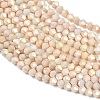 Electroplate Bicone Glass Beads Strands GL-T021-2.5x3mm-16-13-4