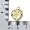 Brass Micro Pave Clear Cubic Zirconia Pendants KK-V010-03G-02-3