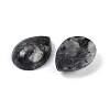 Natural Larvikite Cabochons G-H094-01A-15-2