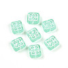 Transparent Acrylic Beads TACR-T028-53-1